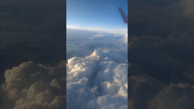1000025205.mp4