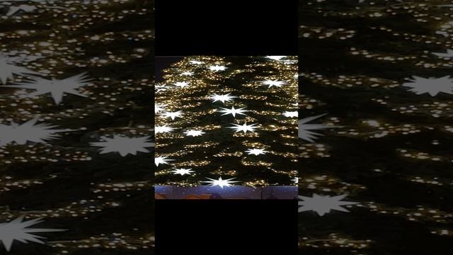 Новогоднее убранство Исаакиевской площади..