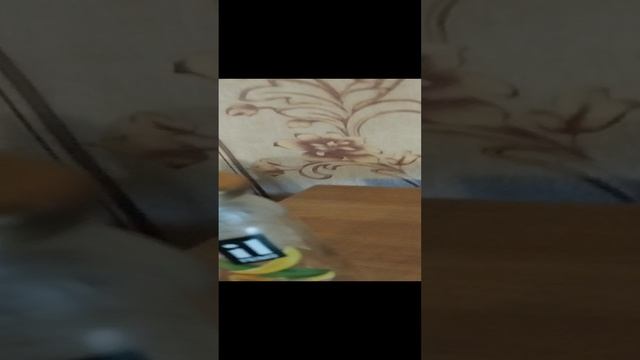 школа кукол