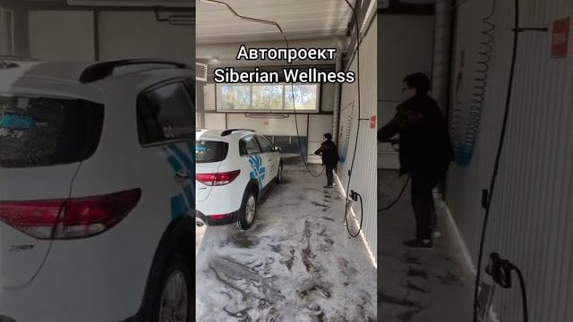 АВТОпрограмма в компании Siberian Wellness