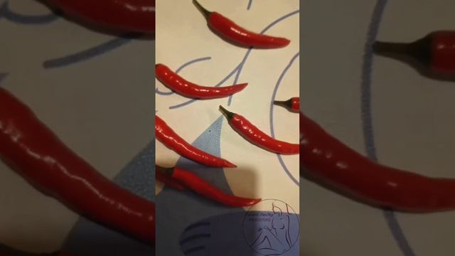 Женская сексуальная магия