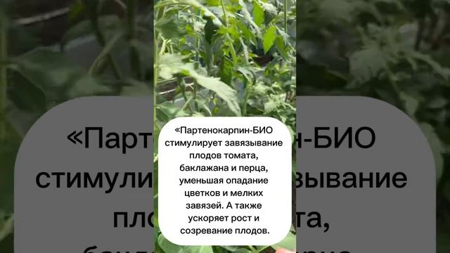 Партенокарпин Био регулятор роста