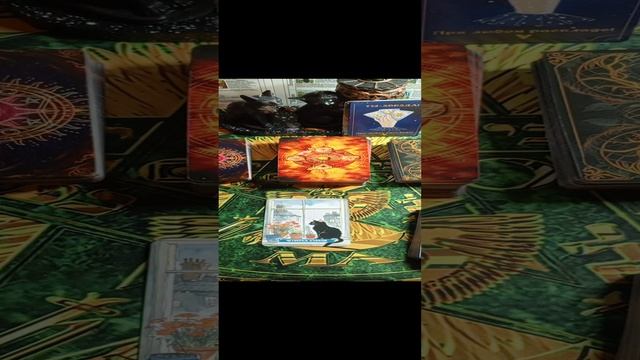 1000023267.mp4