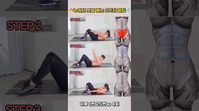 누워서 뱃살빼는 3가지 🍯팁 #뱃살운동 #복근 #오운완 #급찐급빠