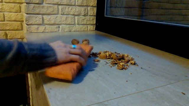 Декоративный кирпич _Орлеан 490__ испытание на прочность