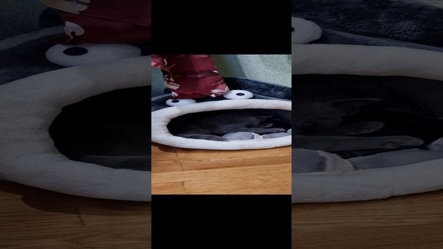 "Кто,  кто, в теремочке живет?".mp4