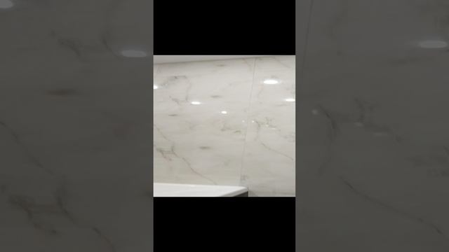VID_20241211_124250.mp4