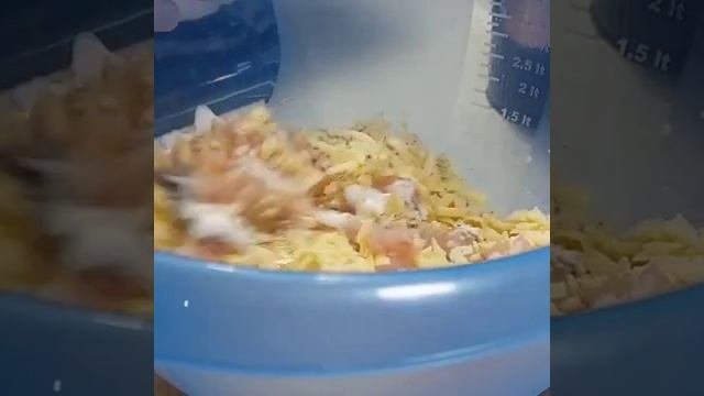1000001435.mp4