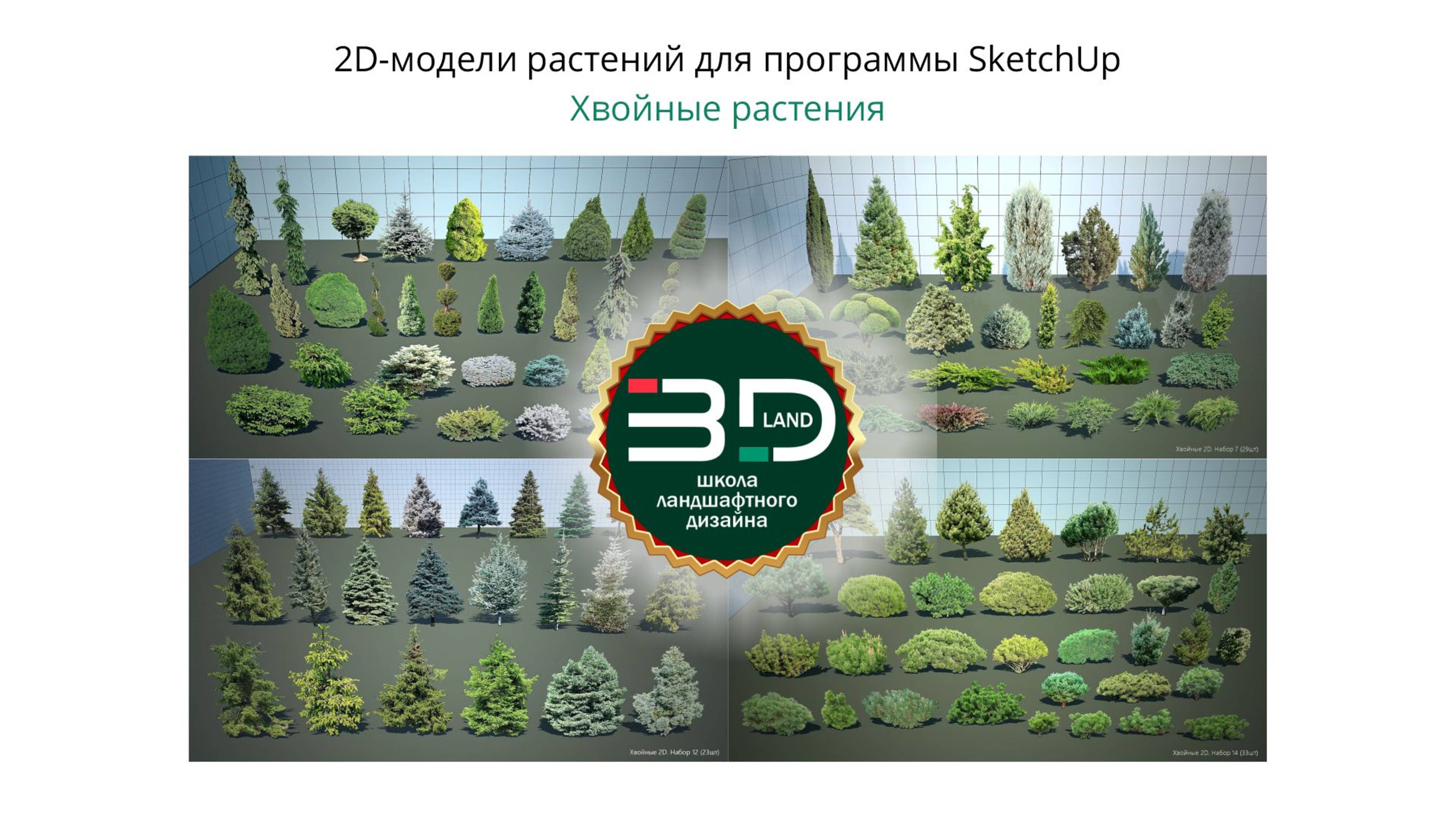 2. 2D-модели растений для SketchUp. Хвойные растения