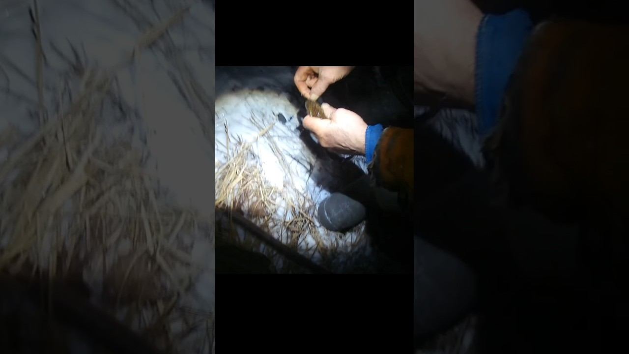 ОГРОМНЫЙ НАЛИМ!!!!!