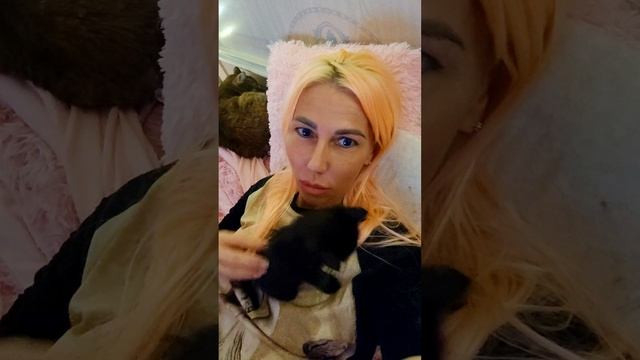 Денежный эгрегор, позволь мне поскорее выплатить за этого малыша 😁😁 спим строго на мне