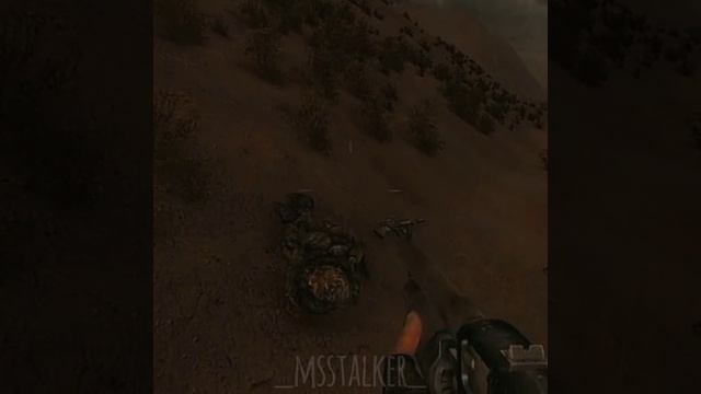 STALKER video