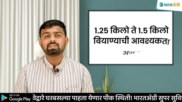 उन्हाळी पिके कोणती घ्यावी | unhali hangam pik konte ghyave | summer season crops