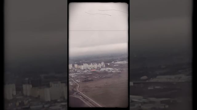 petal_20241212_172735.mp4