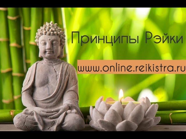 Ольга Носикова. Пять принципов Рэйки