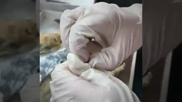Жемчужная идея!