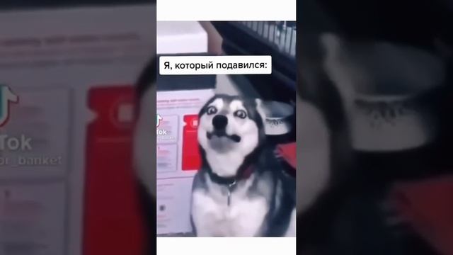 Жена только уложила детей спать и я который подавился
