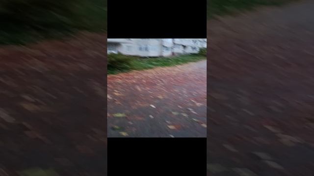 1000017864.mp4