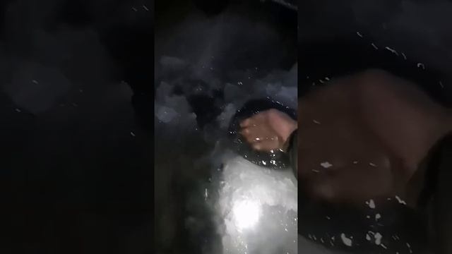 лёд 4см а мы ловим щуку ;)