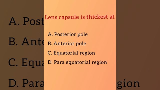 Lens capsule is thickest at... Ophthalmology and Optometry multiple Choice Questions