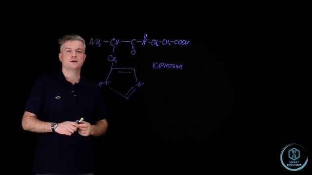 Бета-аланин.  
Зачем он спортсменам💪🏻
А еще поговорим про карнозин .