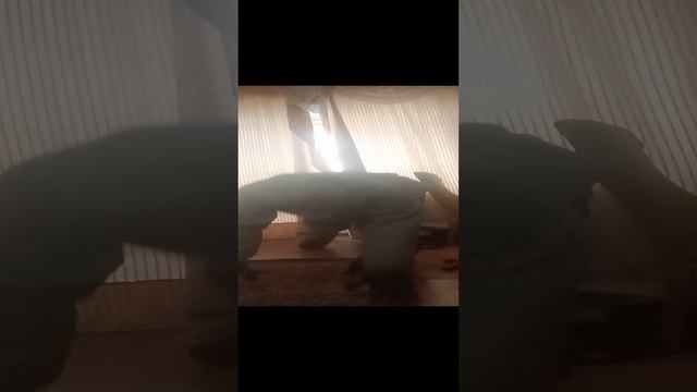 Упражнения в химзащите