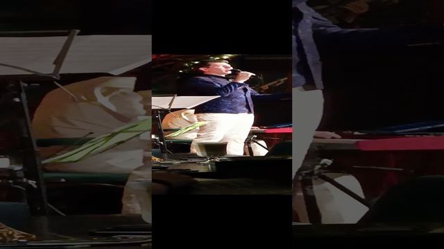 музыка и услуги, адвокат, тур по югу Мособласти, массажист, массаж, представитель интересов, отдых,