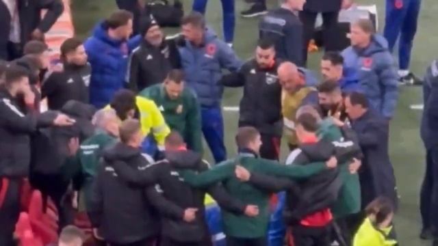 Hungary Coach Adam Szalai Collapsed on the Bench vs Netherlands