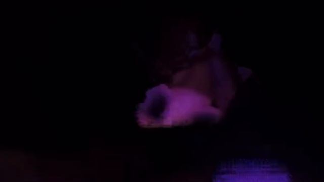 VID_20241119_091421_733.mp4