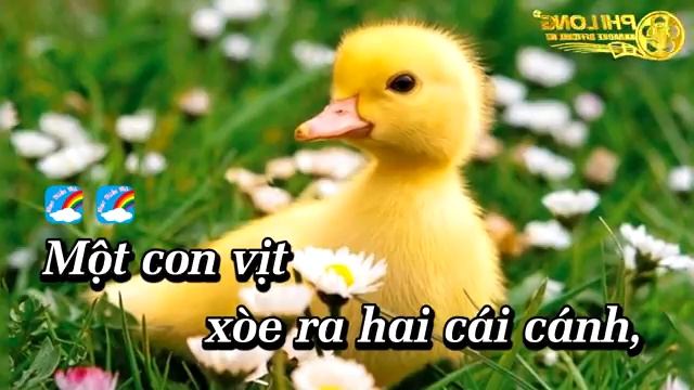 Một Con Vịt Karaoke Nhạc Thiếu Nhi