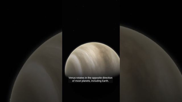Venus has a secret!