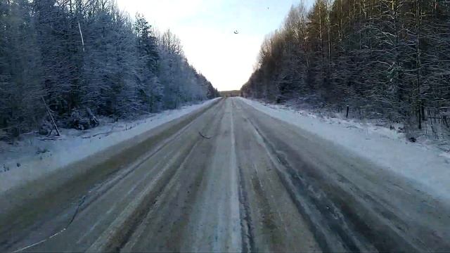 Приятель как сабака История про приятеля и гаишника