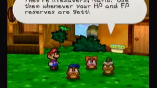 Paper Mario Part 3: I'm so sorry about your gate