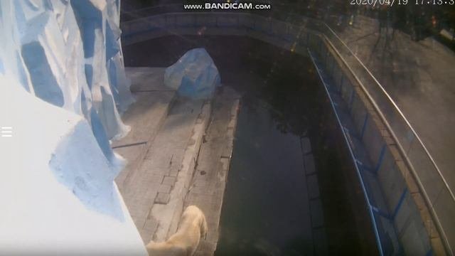 Люди, вы где? Я вас жду! 19.04.2020