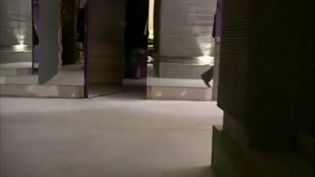 Dokument o powstaniu Teatru Polonia i Premierze "Ucho Gardło Nóż"