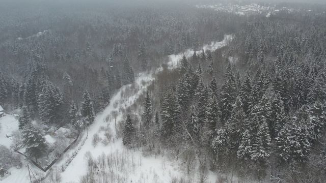 Дачный поселок Ленинградское шоссе