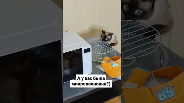 А у вас это есть?