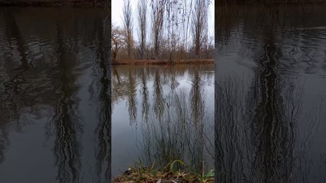 12.12.2024 #сегоднятак #сегодня #природа #матушказемля