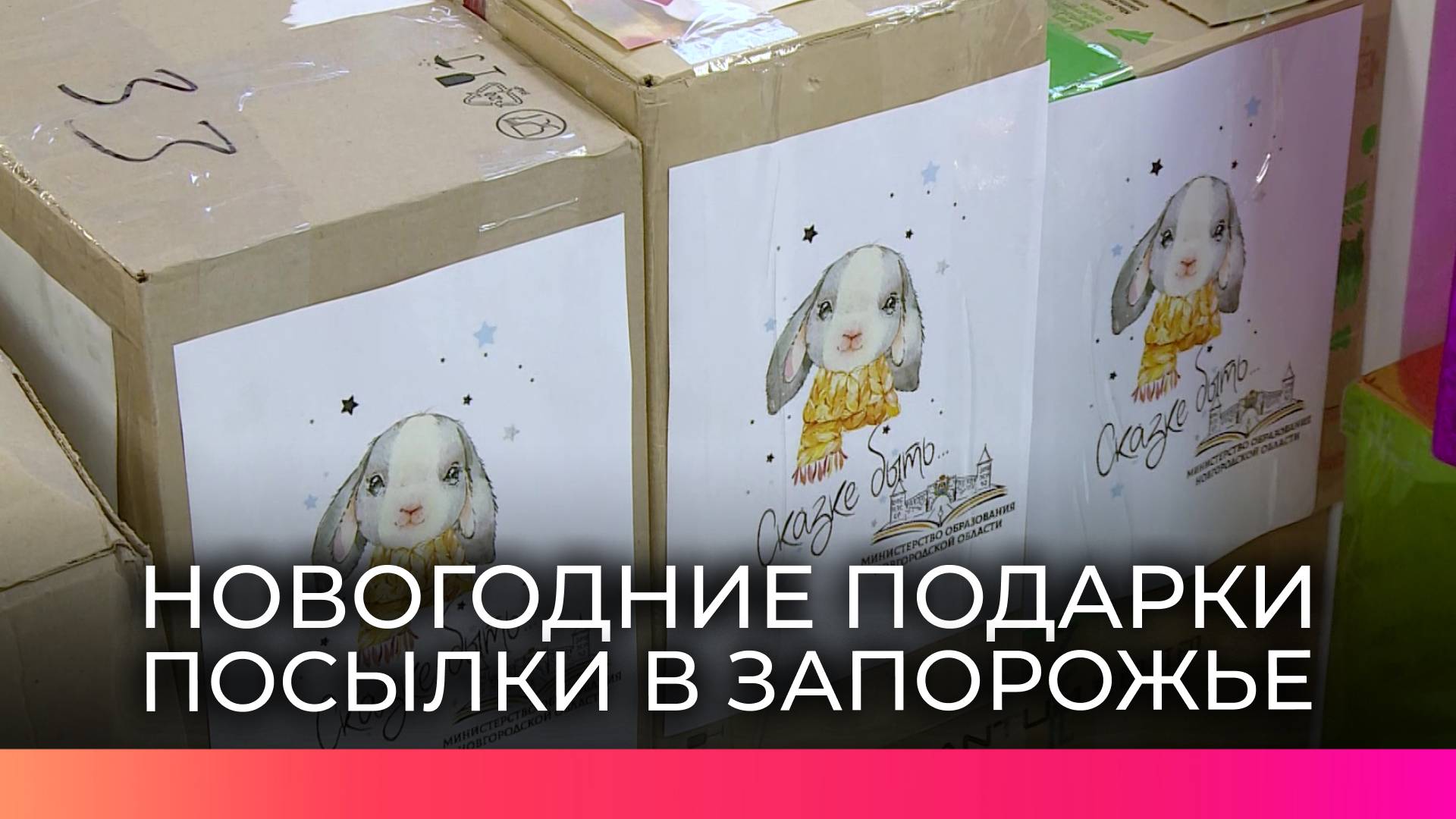Новгородцы собрали более 600 новогодних подарков для отправки в Запорожскую область