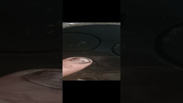 1000161151.mp4