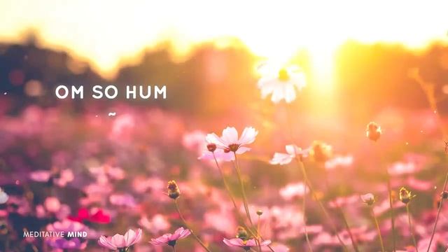 OM SO HUM - I am the Universe.mp4