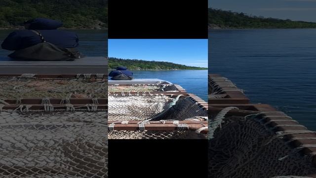 20230710_123612.mp4