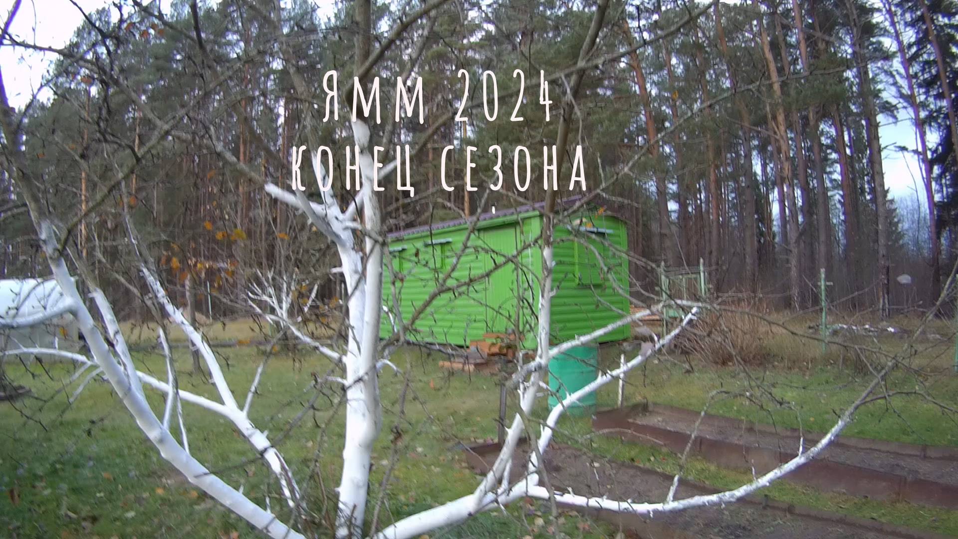 Ямм 2024 отьезд.