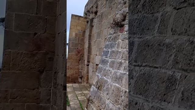 1000057517.mp4
