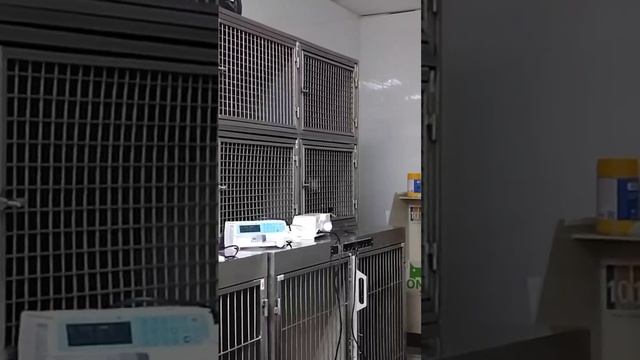 Кто-то не хочет лечится😊