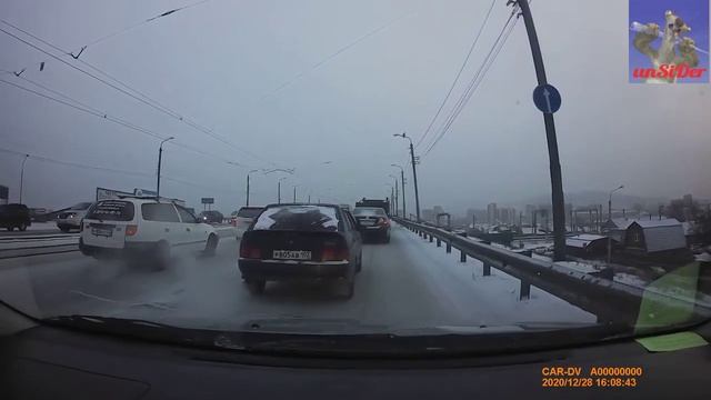 2020-12-28 - Птица