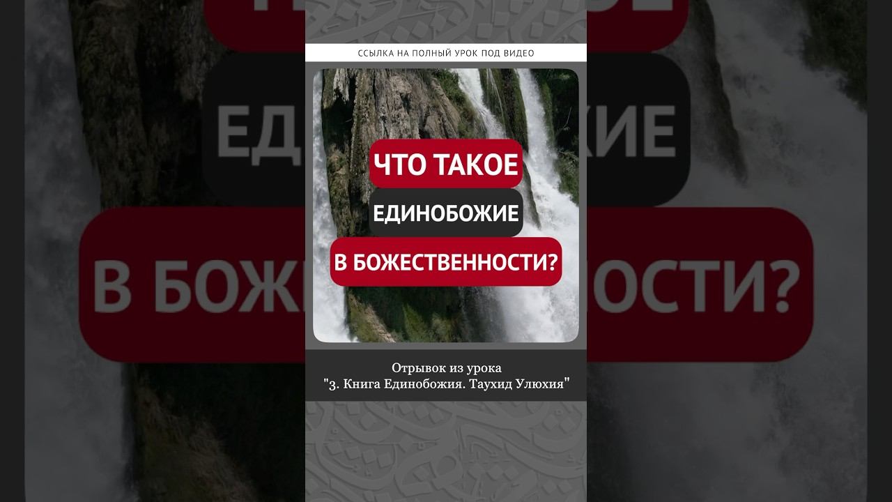 Что такое единобожие в божественности? || Ринат абу Ибрахим #ислам #коран #вера #бог #намаз #сунна