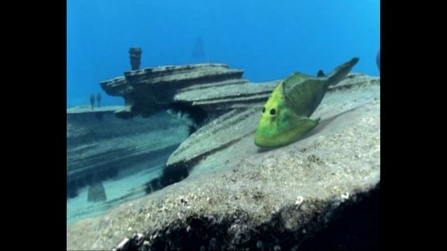 BBC Paleozoic Sea Monsters Tribute