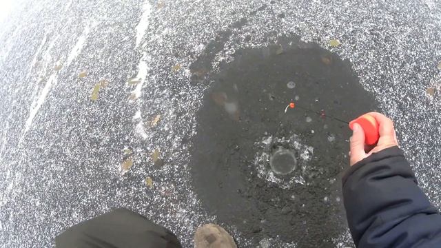 первый лед рыба есть и печка в баню почти готова