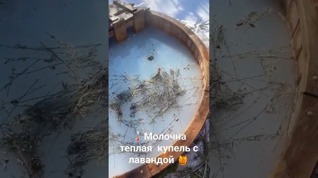 Теплая молочная купель с лавандой  #купельсподогревом #сибирскийчан #фурако
